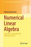 Numerical Linear Algebra (eBook, PDF)