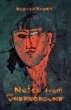 Notes From The Underground (eBook, PDF) - Bild 1