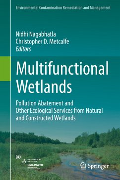 Multifunctional Wetlands (eBook, PDF)