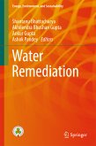 Water Remediation (eBook, PDF)