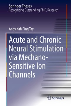Acute and Chronic Neural Stimulation via Mechano-Sensitive Ion Channels (eBook, PDF) - Tay, Andy Kah Ping