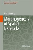 Morphogenesis of Spatial Networks (eBook, PDF)
