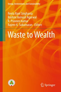 Waste to Wealth (eBook, PDF)