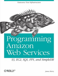 Programming Amazon Web Services (eBook, ePUB) - Murty, James