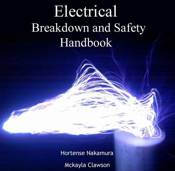 Electrical Breakdown and Safety Handbook (eBook, PDF)