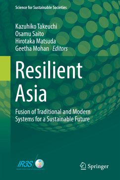 Resilient Asia (eBook, PDF)