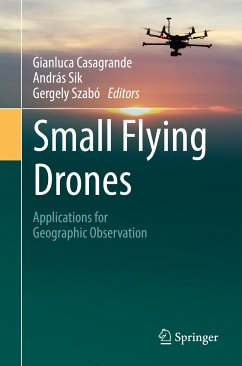 Small Flying Drones (eBook, PDF)