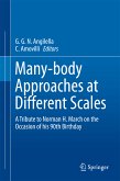 Many-body Approaches at Different Scales (eBook, PDF)