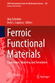 Ferroic Functional Materials (eBook, PDF)