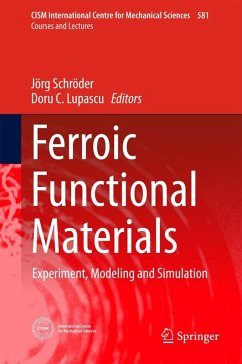 Cover Ferroic Functional Materials (eBook, PDF)