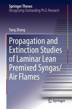 Propagation and Extinction Studies of Laminar Lean Premixed Syngas/Air Flames (eBook, PDF) - Zhang, Yang