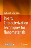 In-situ Characterization Techniques for Nanomaterials (eBook, PDF)