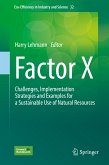 Factor X (eBook, PDF)