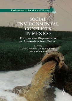 Social Environmental Conflicts in Mexico (eBook, PDF)