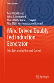 Wind Driven Doubly Fed Induction Generator (eBook, PDF)