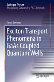 Exciton Transport Phenomena in GaAs Coupled Quantum Wells (eBook, PDF)