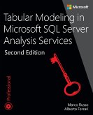 Tabular Modeling in Microsoft SQL Server Analysis Services (eBook, ePUB)
