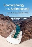 Geomorphology in the Anthropocene (eBook, ePUB)