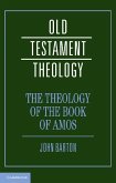 Theology of the Book of Amos (eBook, ePUB)