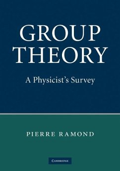 Cover Group Theory (eBook, ePUB)