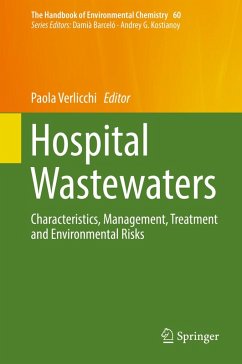 Hospital Wastewaters (eBook, PDF)