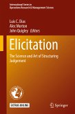 Elicitation (eBook, PDF)
