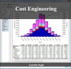 Cost Engineering (eBook, PDF)