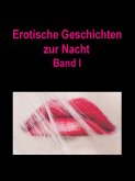 Erotische Geschichten zur Nacht (eBook, ePUB)