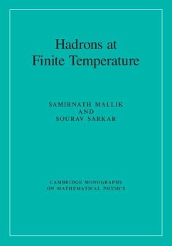 Cover Hadrons at Finite Temperature (eBook, ePUB)