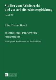International Framework Agreements (eBook, ePUB)
