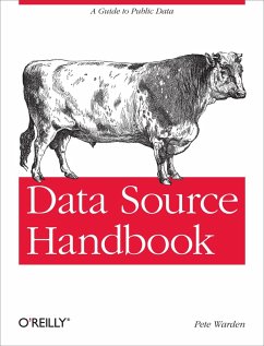Data Source Handbook (eBook, ePUB) - Warden, Pete