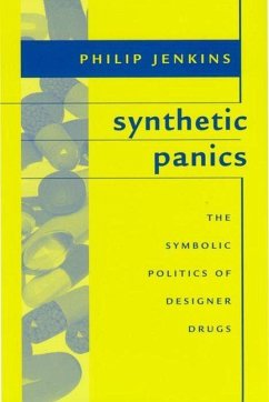Cover Synthetic Panics (eBook, PDF)
