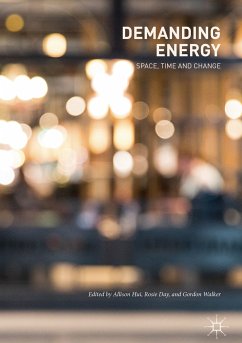 Demanding Energy (eBook, PDF)