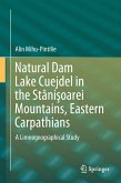 Natural Dam Lake Cuejdel in the Stânişoarei Mountains, Eastern Carpathians (eBook, PDF)