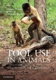Tool Use in Animals (eBook, PDF)