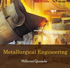 Cover Metallurgical Engineering (eBook, PDF)