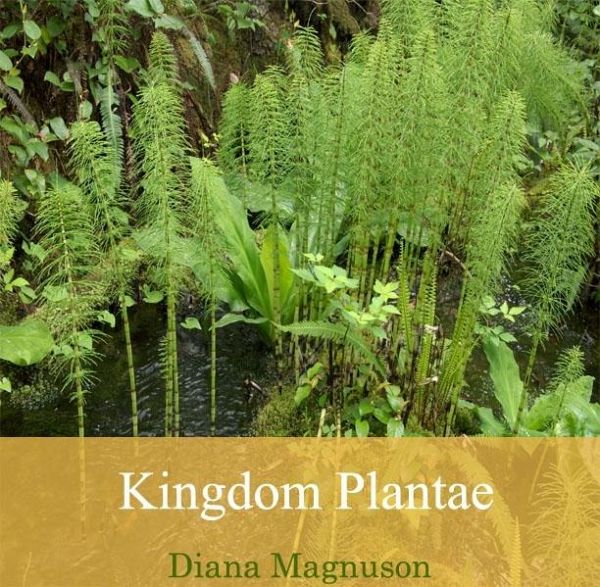 Kingdom Plantae (eBook, PDF)