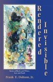 Rendered Invisible (eBook, ePUB)
