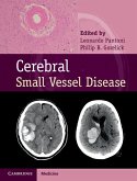 Cerebral Small Vessel Disease (eBook, ePUB)