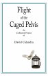 Flight of the Caged Pelvis (eBook, ePUB) - Bild 1