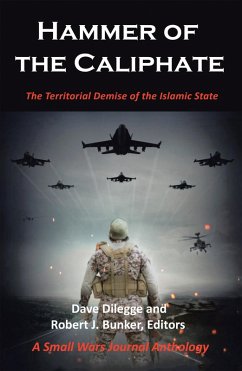 Hammer of the Caliphate (eBook, ePUB) - Dilegge, Dave