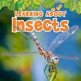Learning About Insects (eBook, PDF)