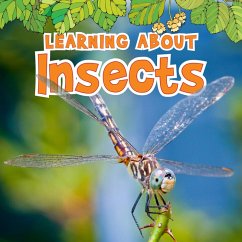 Learning About Insects (eBook, PDF) - Veitch, Catherine