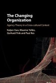 Changing Organization (eBook, ePUB)