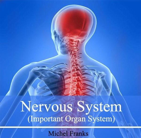 Nervous System (Important Organ System) (eBook, PDF)