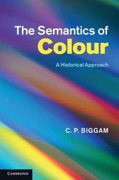 Semantics of Colour (eBook, ePUB) - Biggam, C. P.