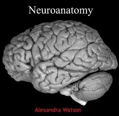 Cover Neuroanatomy (eBook, PDF)