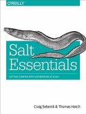 Salt Essentials (eBook, PDF)