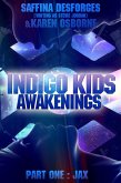 Indigo Kids (eBook, ePUB)