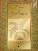 Ferns and Fern Culture (eBook, ePUB)